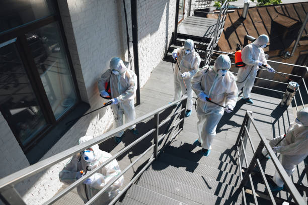 Best Attic Mold Removal  in Summit, NJ