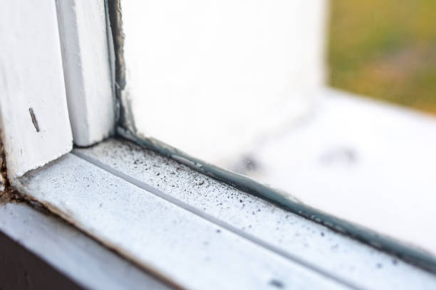 Dehumidification Services in Summit, NJ